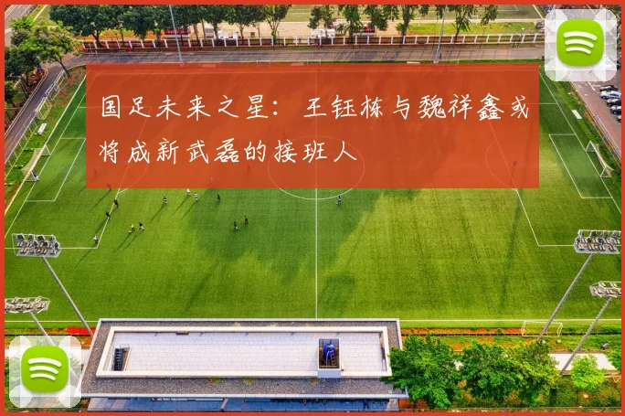 国足未来之星：王钰栋与魏祥鑫或将成新武磊的接班人