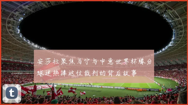 安莎社聚焦马宁与中意世界杯缘分球迷热捧这位裁判的背后故事