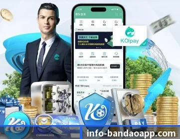半岛体育 APP 深度功能
